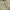 Morgan Homme Vintage Streetwear Jeans Pria tan photo 6