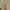 Morgan Homme Vintage Streetwear Jeans Pria tan photo 8