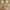 Morgan Homme Vintage Streetwear Jeans Pria tan photo 5
