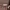 Missoni Streetwear Casual Formal shirt Pria multicolor photo 4