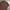 Missoni Streetwear Casual Formal shirt Pria multicolor photo 8