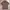 Missoni Streetwear Casual Formal shirt Pria multicolor photo 2