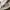 Michael Kors Luxury Minimalist Handbag Wanita brown photo 5