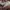 Michael Kors Luxury Minimalist Handbag Wanita brown photo 7