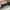 Michael Kors Luxury Minimalist Handbag Wanita brown photo 4