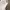 Luxury Skirt Wanita white photo 1