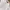Luxury Skirt Wanita white photo 5