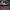 Nike Casual Sneakers Pria multicolor photo 2