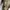 Vintage Cargo Pants G.I Original USA photo 8