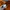 Adidas Casual Track jacket Pria orange photo 3