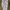 Gucci Luxury Summer dress Wanita multicolor photo 2