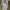 Gucci Luxury Summer dress Wanita multicolor photo 1