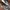 Casual Sneakers Kids white photo 2