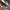 Casual Sneakers Kids White