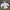 Ellesse Gorpcore Windbreaker Pria white photo 1