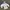Ellesse Gorpcore Windbreaker Pria White