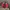Streetwear Track jacket Pria red black photo 1