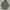 Grunge Casual Parka Pria green photo 1