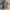 Casual Pea coat Pria brown photo 2