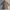 Casual Pea Coat Pria Brown