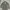 Grunge Indie Parka Pria green photo 1