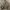 Alpha Industries Vintage Bomber jacket Pria green photo 2