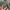 Alpha Industries Vintage Bomber jacket Pria green photo 7