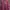Spao Hoody Pria Burgundy