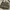 Vintage Luxury Handbag Wanita black photo 4
