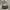 Vintage Luxury Handbag Wanita black photo 2