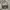 Vintage Luxury Handbag Wanita black photo 1