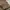 Fendi Y2K Luxury Shoulder bag Wanita brown photo 6