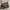 Fendi Y2K Luxury Shoulder bag Wanita brown photo 3