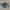 Streetwear Casual Denim Jacket Pria Blue