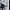 VETEMENTS Avant Garde Reworked High waisted jeans Wanita white photo 4