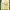 Hoody Wanita yellow photo 1