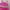 Sportswear Swimwear Kids pink photo 2
