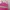 Sportswear Swimwear Kids Pink