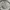 ZARA Vintage Streetwear Puffer jacket Pria cream photo 1