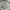 ZARA Vintage Streetwear Puffer Jacket Pria Cream
