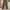 EDWIN Streetwear Casual Casual pants Pria multicolor photo 1