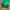 Canterbury Streetwear Sportswear Tracksuit Pria green photo 3