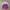 COS Fairy Midi Dress Kids Pink Gray