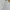 Millet Sportswear Sweater Kids white photo 4