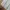 Millet Sportswear Sweater Kids white photo 5