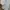 Millet Sportswear Sweater Kids white photo 3