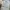 Millet Sportswear Sweater Kids white photo 6