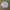 Millet Sportswear Sweater Kids white photo 1