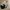 Nike Streetwear Sportswear Sneakers Pria tan navy photo 2
