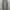 Nike Sportswear Casual Pria gray photo 1